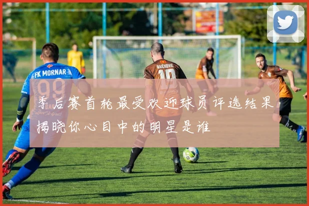 季后赛首轮最受欢迎球员评选结果揭晓你心目中的明星是谁
